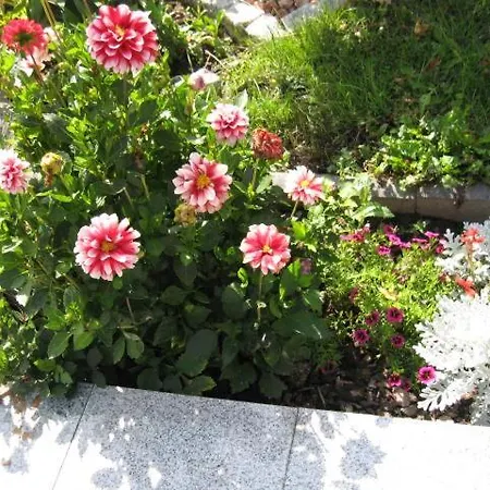 Diamanthaus Deluxe 8 * Koblenz (Rhineland-Palatinate)