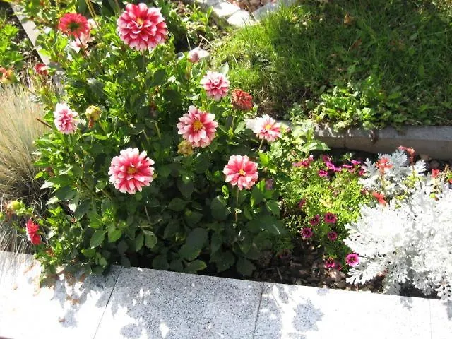 Diamanthaus Deluxe 8 * Koblenz (Rhineland-Palatinate)